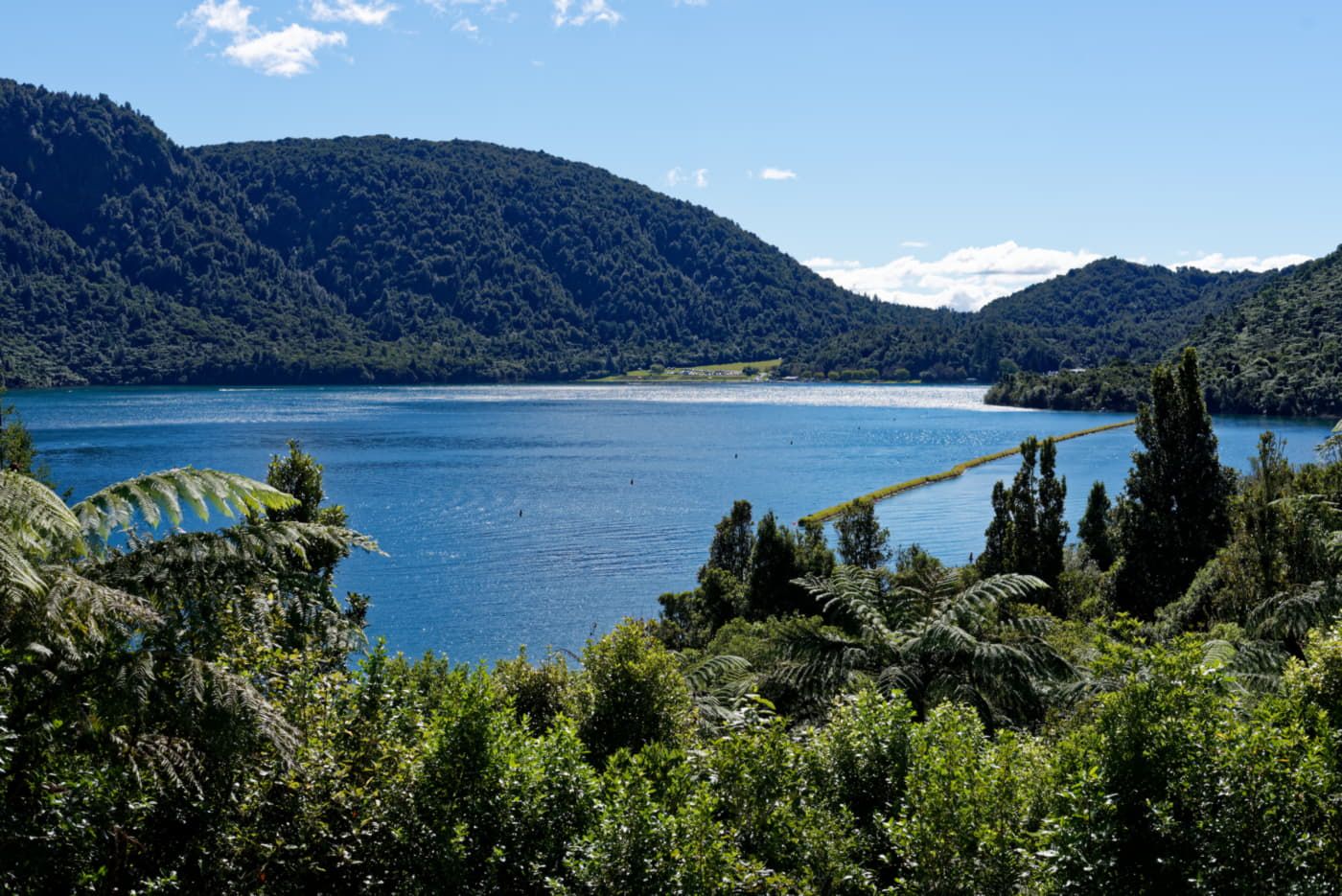 Tikitaupu