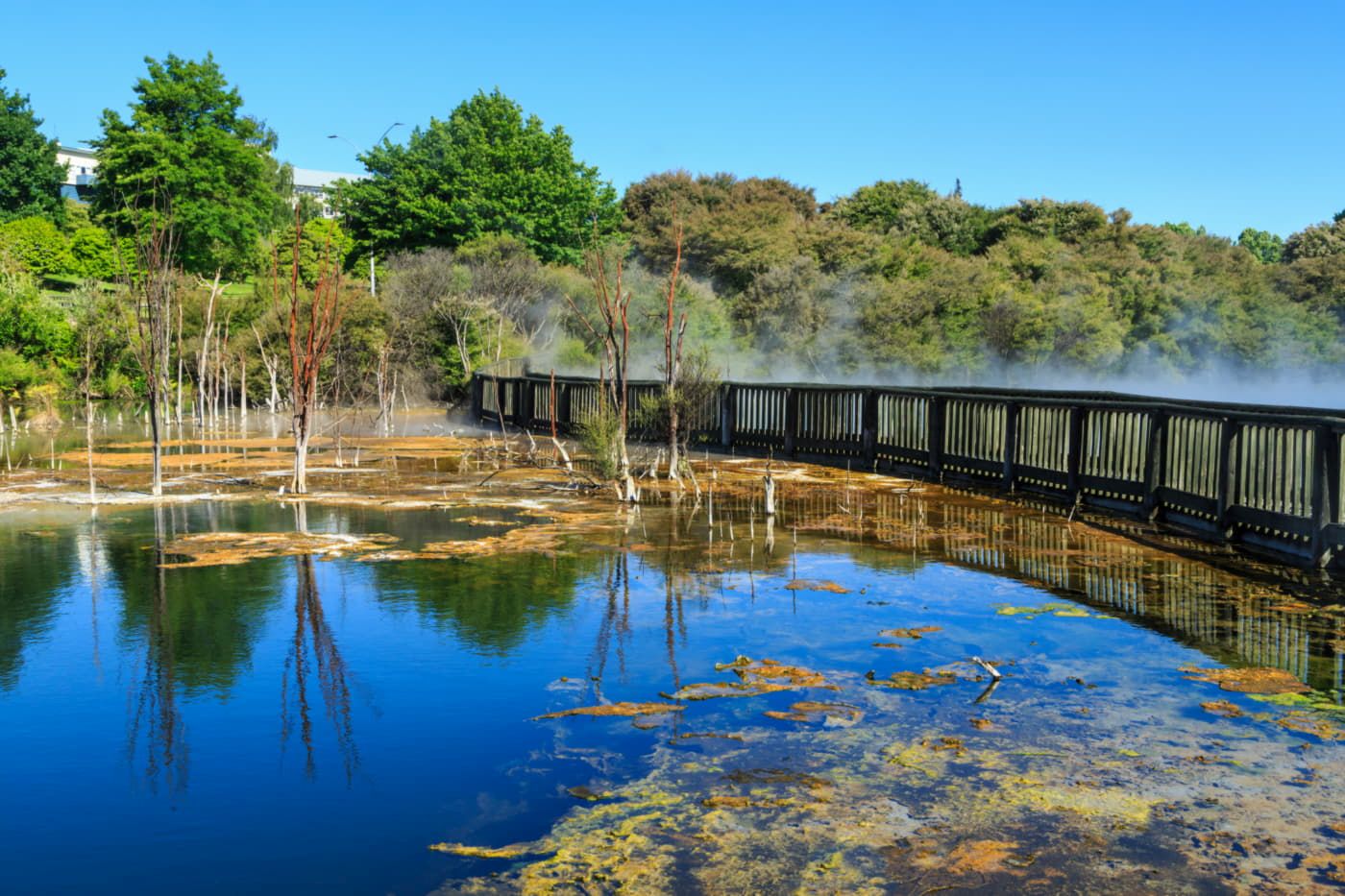 Kuirau Park
