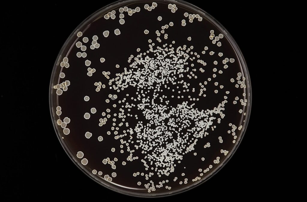 Azytromycyna – dlaczego terapia trwa tylko trzy dni