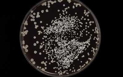 Azytromycyna – dlaczego terapia trwa tylko trzy dni