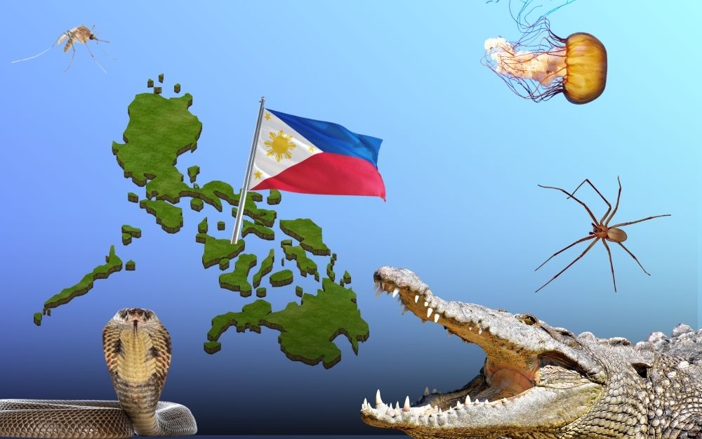 najgrozniejsze-zwierzeta-na-filipinach najgroźniejsze zwierzęta na Filipinach
