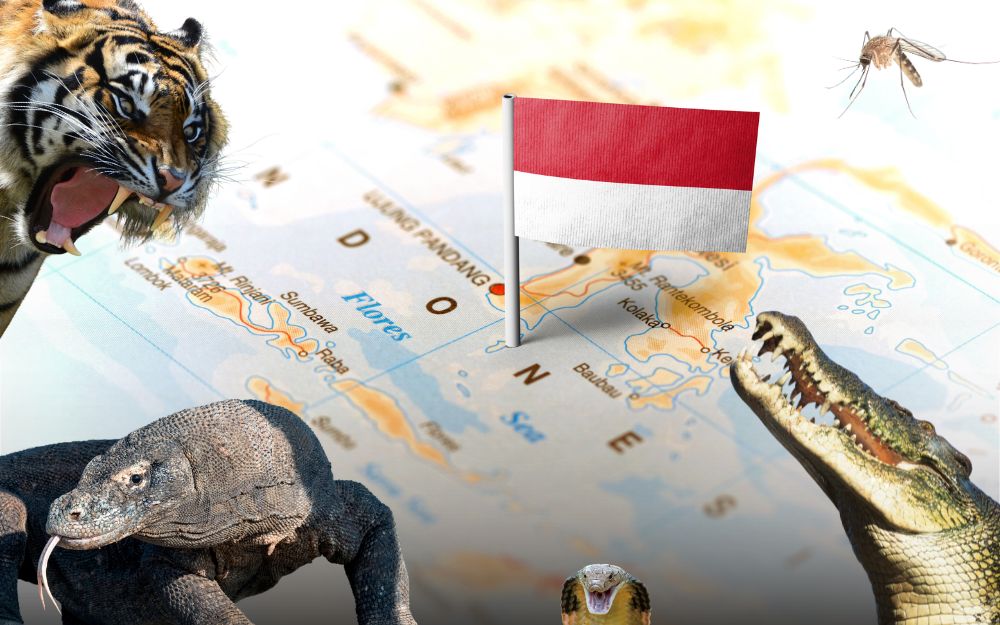 najgroźniejsze zwierzęta w Indonezji